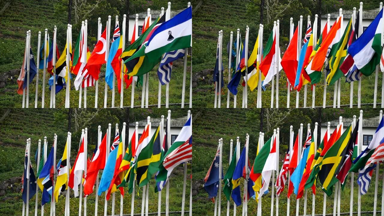 许多各种各样鲜艳的世界各国国旗迎风飘扬在旗杆上。特写慢动作