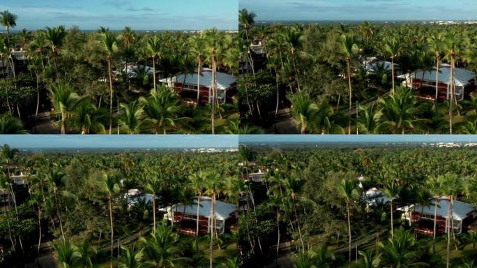 倾斜空中无人机拍摄被棕榈树包围的房屋
