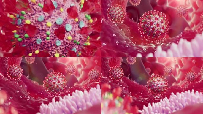 人体细胞冠状病毒入侵过程医学3D动画