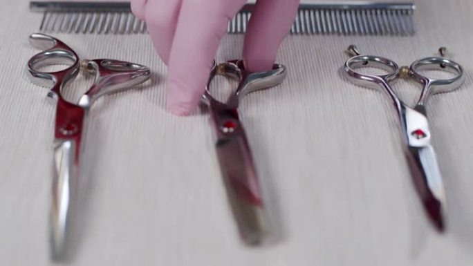 桌子上有三把美容剪刀。一只戴着粉红色手套的手从桌子上拿了剪刀
