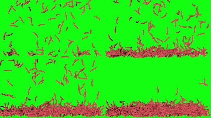 绿屏生肠热狗落地式堆叠动画色度键3d