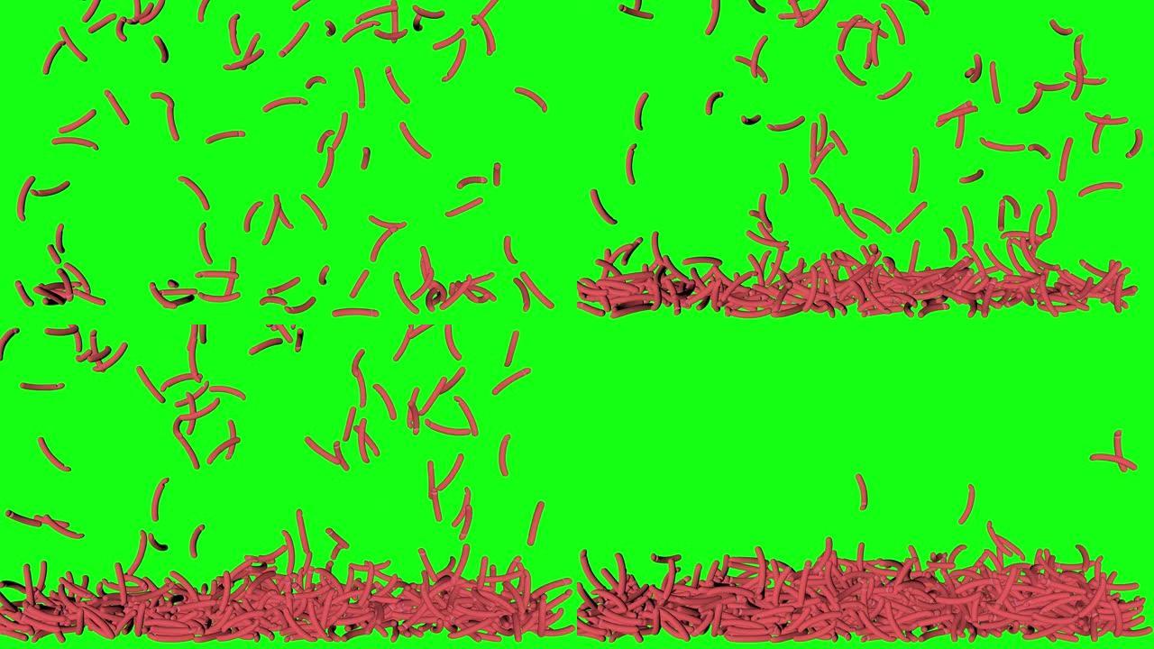 绿屏生肠热狗落地式堆叠动画色度键3d