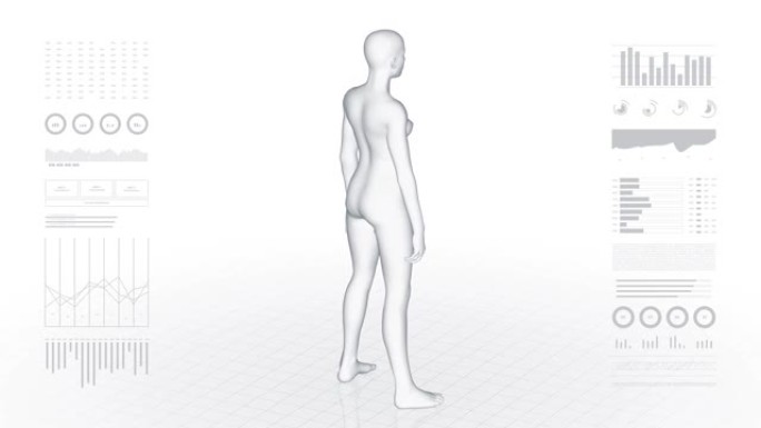 肛门病变的女孩。女性的3d身体。女性人体结构的旋转动画和特写。4k镜头。