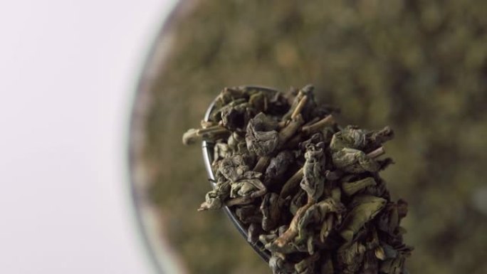 绿茶火药。在金属勺子中干燥的卷叶特写