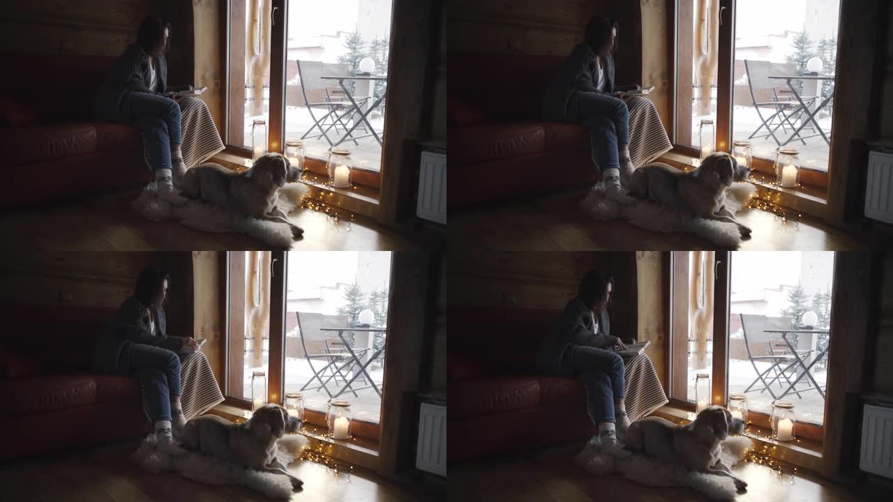 女性坐在沙发上看书。她的比格犬躺在沙发旁边，看着窗户。冬季舒适的家庭住宿和假期4k镜头概念。