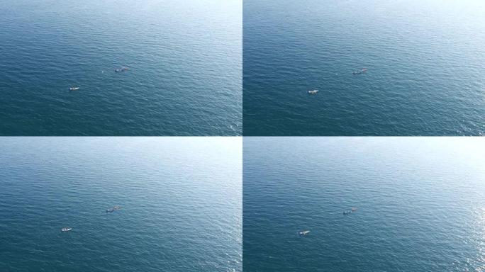 三艘皮划艇在公海游泳，岸边看不见。