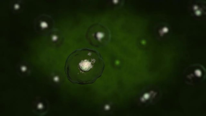 细胞生物学的3d渲染处理最小的生命单位。