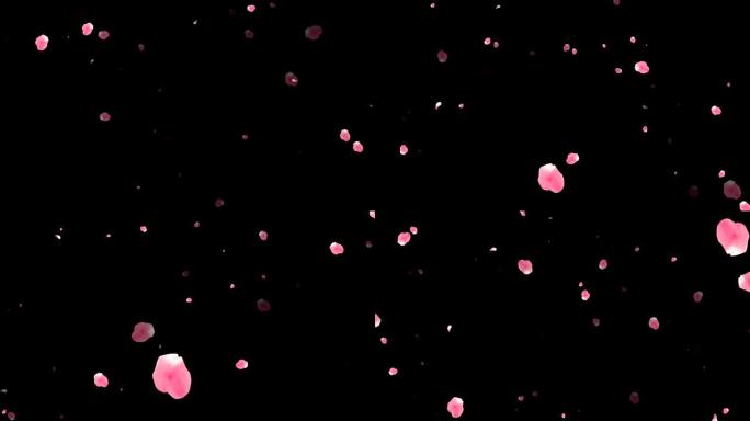 黑色背景上的红色和粉红色玫瑰花瓣4k