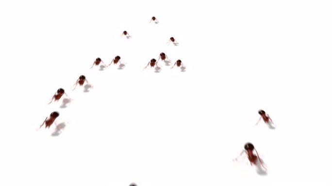 千蚂蚁行军，3D动画配合alpha通道