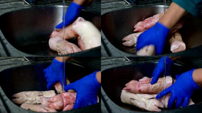 戴着橡胶手套的人的手在流水下彻底清洗厨房水槽中的猪腿。