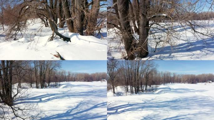 冬季白雪皑皑的大树特写空中拍摄