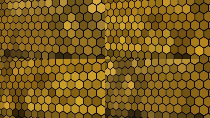 蜜蜂的蜂巢，概述了肺泡动画