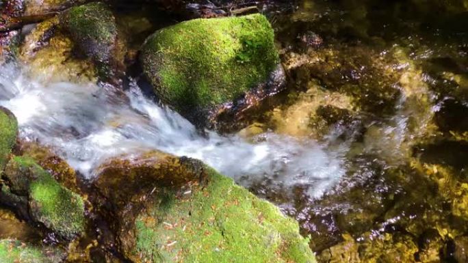 穿过森林的山涧森林海氧吧瀑布溪流水