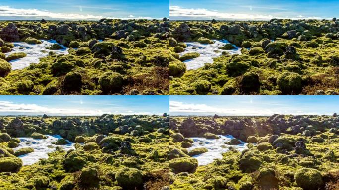 冰岛苔藓环境延时滑动视频