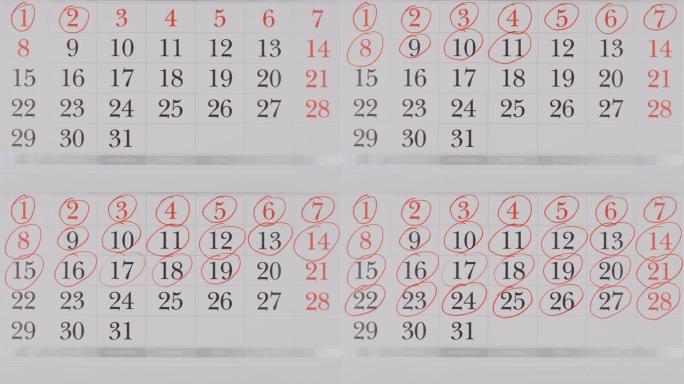 俯视图: 在纸质日历中标记 (圆形) 数字-停止运动动画