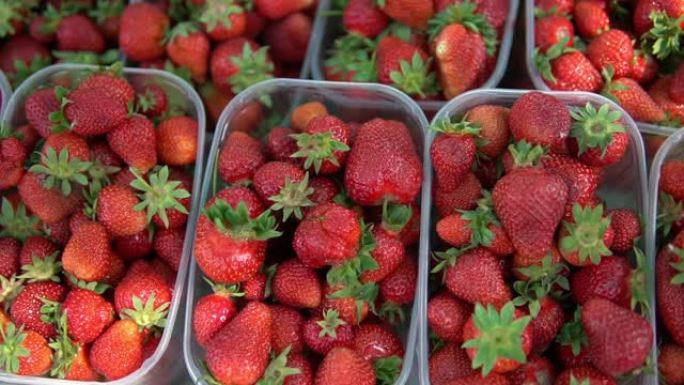 新鲜草莓。在街头拍卖会上近距离拍摄塑料盒中的红色草莓