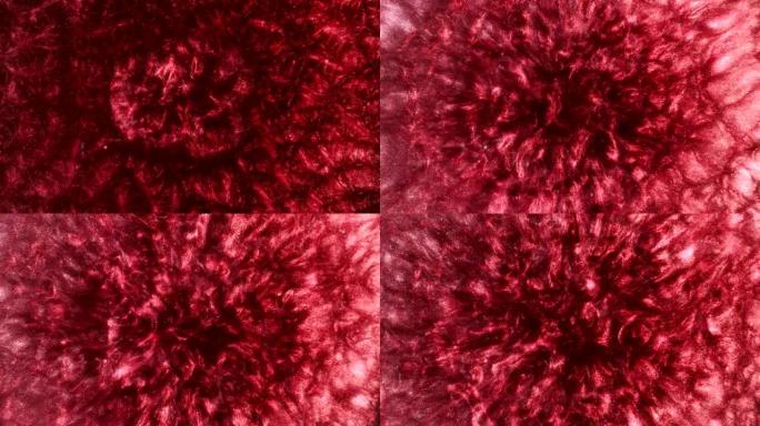 红色抽象迷幻变形流动漩涡沸腾宇宙有机图案背景。