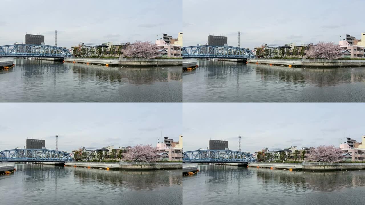 河边樱花，日本东京