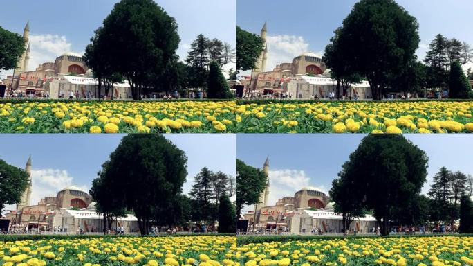 伊斯坦布尔，美丽的圣索菲亚大教堂，花园充满五颜六色的花朵，基督教父权制大教堂，帝国清真寺