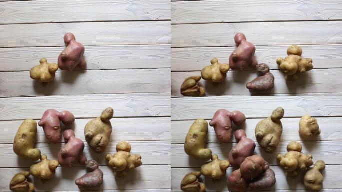 手工涂抹不规则形状的土豆。丑陋丑陋的蔬菜和水果