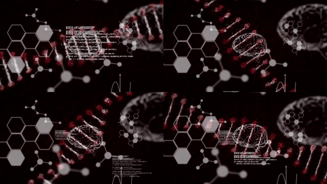 3D人脑m漂浮的分子和化学元素旋转的DNA菌株动画