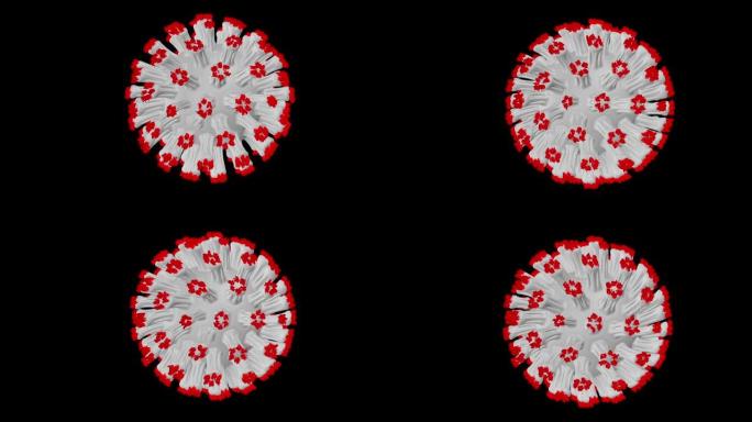 黑色背景上的冠状病毒细胞，病毒手臂上有红色尖峰