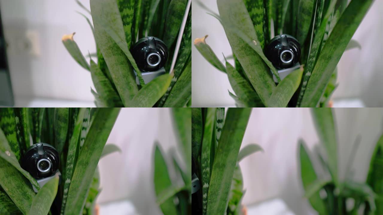 花盆里的网络摄像头秘密监控。家庭监视和安全系统。房子里的间谍活动。