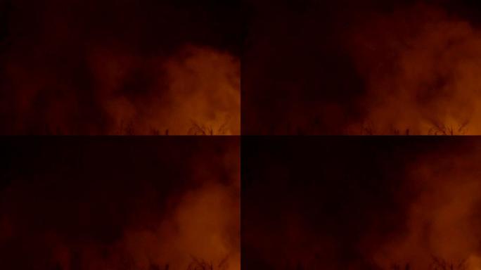 一场巨大的森林大火引发的强烈火焰。火焰照亮了夜晚，它们穿过松树林和鼠尾草刷