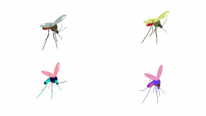 无缝循环。蚊子飞行动画的五种不同颜色变化。