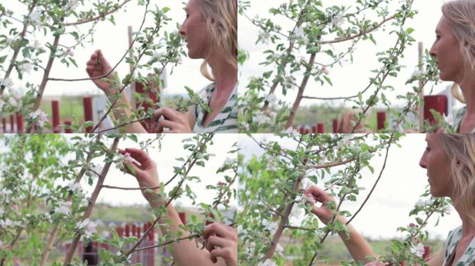千禧一代成年女性在严重时期检查美国西部的农场生活中的果树生产