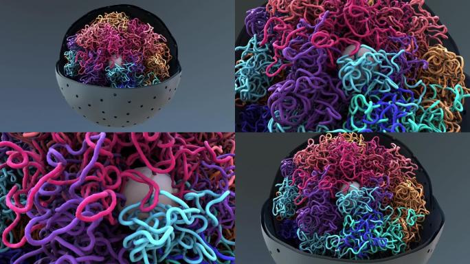 染色体，DNA，细胞将DNA包装到细胞核中