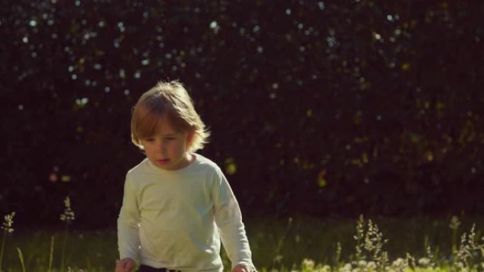 在公园的草地上奔跑的金发小男孩。慢动作拍摄