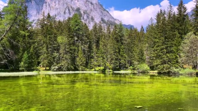 奥地利绿色湖湿地自然风景清澈河水