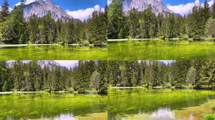 奥地利绿色湖湿地自然风景清澈河水