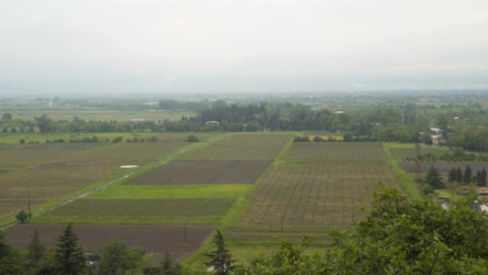 佐治亚州农田的俯视图。阴