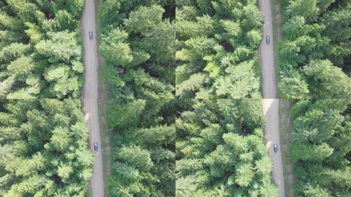 傍晚时分，汽车在森林的乡村道路上行驶的空中俯视4k视图。电影无人机在松树森林的砾石路上飞行。从晴天上