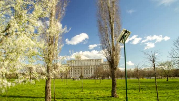 4 4K布加勒斯特的议会大厦和开花树