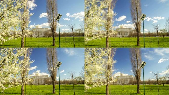 4 4K布加勒斯特的议会大厦和开花树