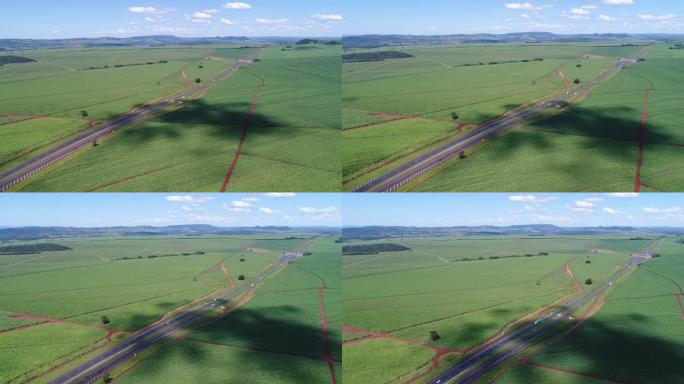 圣保罗里贝朗普雷图的甘蔗种植区被公路切割。