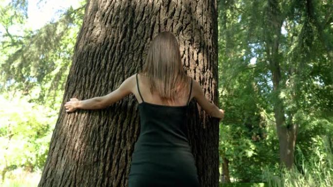 在阳光明媚的夏日，一位年轻苗条的高加索妇女在植物园中拥抱着一棵大雪松树干的后视。人与自然的统一概念。