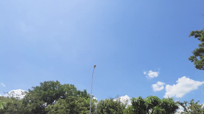 城市马路风景蓝天白云树枝叶