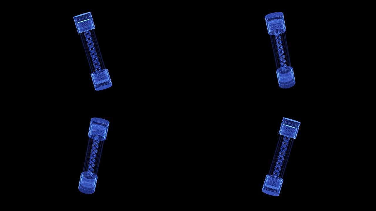 旋转DNA病毒的全息图