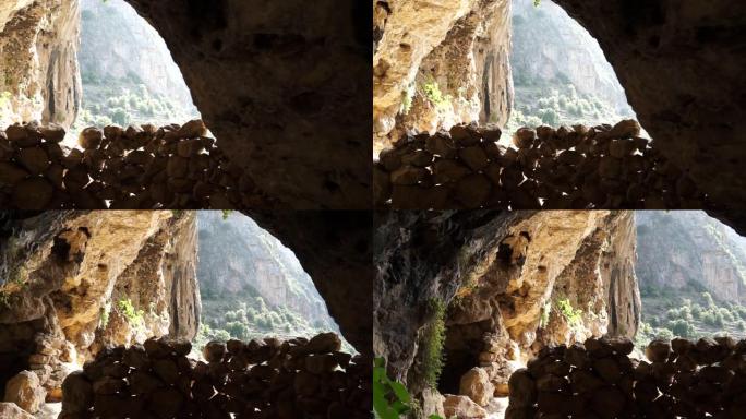 蜜蜂洞穴