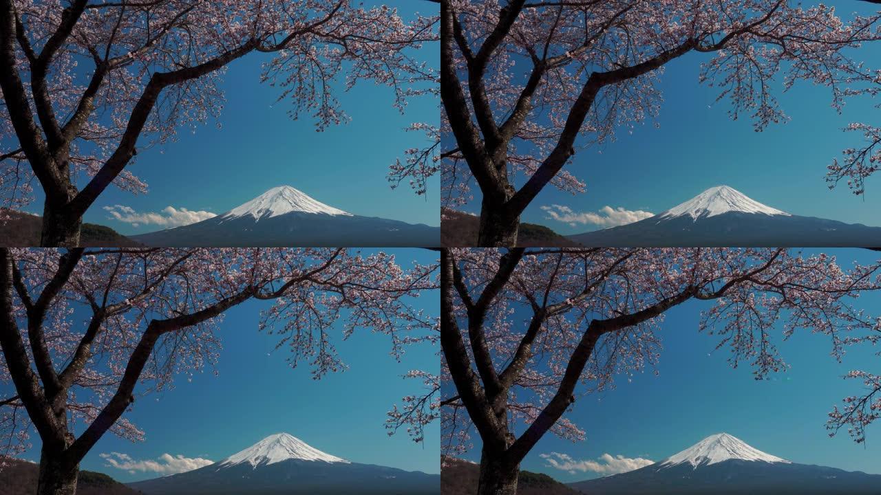 4k视频: Mt。日本河口子藤吉田的富士。