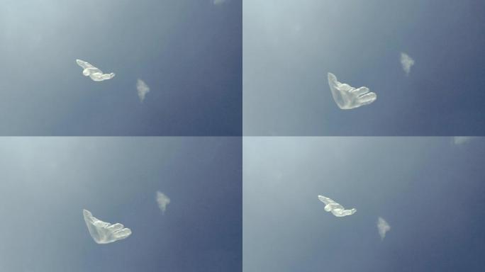 垃圾。一次性塑料手套在空中飞来飞去。