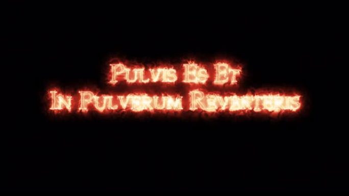 用火写的粉状反响中的Pulvis es et。循环