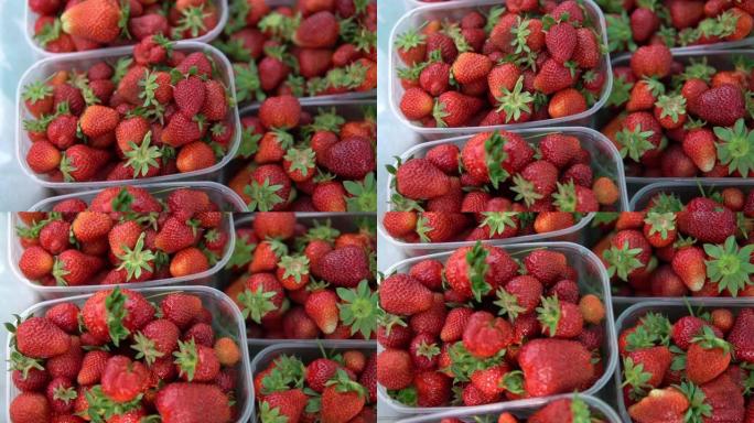 新鲜草莓。在街头拍卖会上近距离拍摄塑料盒中的红色草莓