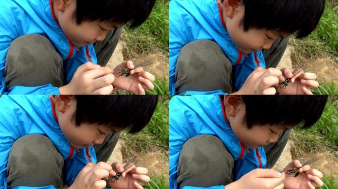 聪明的男孩在户外研究一只玩死蜻蜓