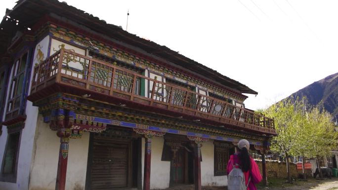 藏式建筑 西藏建筑纹路 西藏建筑纹理