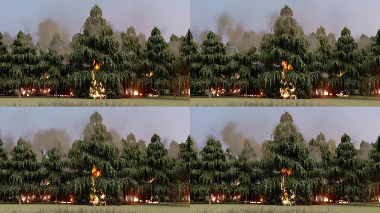 大规模森林大火森林大火树林燃烧森林失火